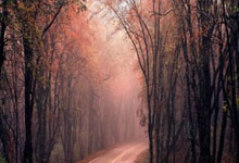 宾安保险柜维修点-全国统一客服电话服务中心分析宾安保险柜指纹怎么消除