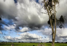 宾安保险柜维修点-全国统一客服电话服务中心分析宾安保险柜指纹怎么消除