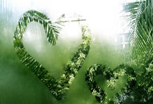 消毒柜生锈问题及保养技巧全解析