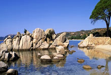 纳智德指纹锁24小时客服报修教导〖纳智德指纹锁在开门时提示未授权原因分析〗